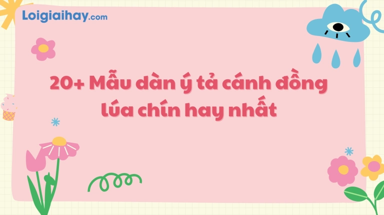 Vẻ Đẹp Huyền Diệu Của Cảnh Cánh Đồng Lúa Chín Vàng Rực Rỡ