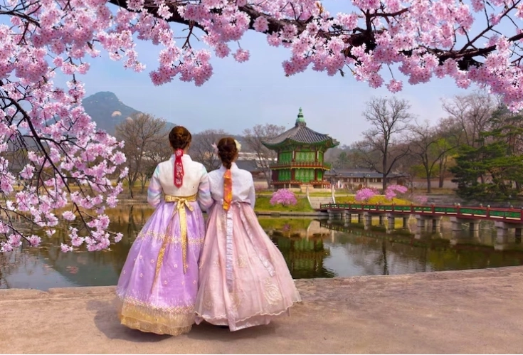 Vẻ đẹp mùa xuân với hoa anh đào và trang phục truyền thống tại Cung điện Gyeongbokgung