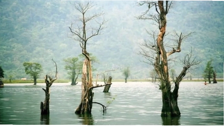 Vẻ đẹp nguyên thủy hoang sơ của hồ Noong giữa núi rừng Hà Giang bạt ngàn