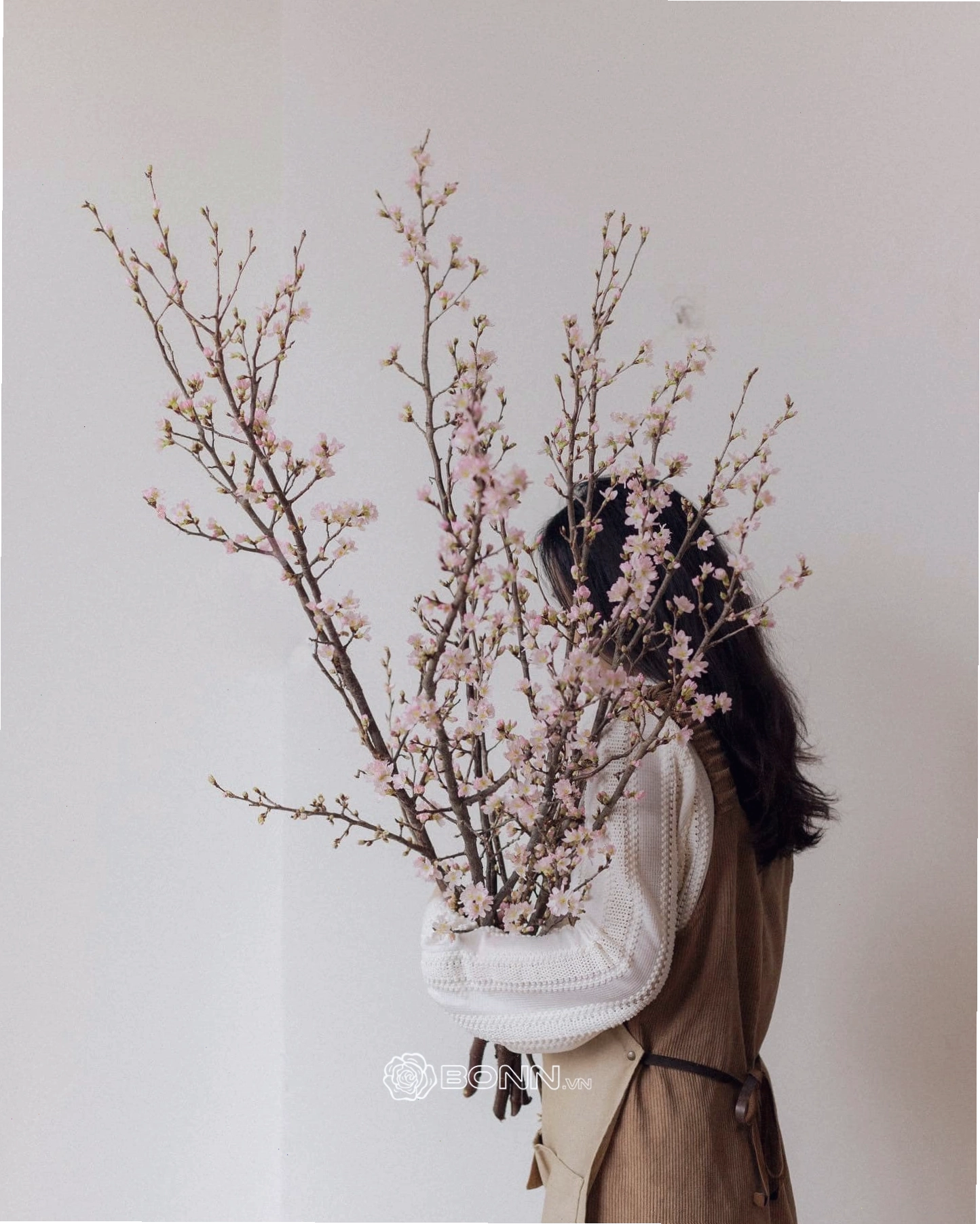 Vẻ đẹp rực rỡ của hoa anh đào sakura nở rộ