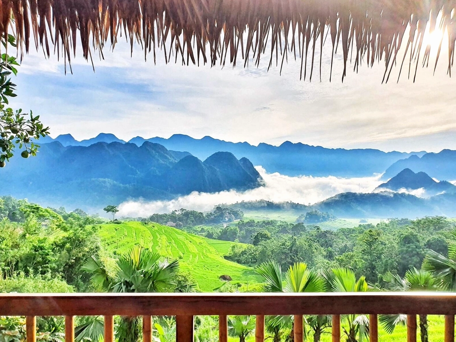 Vẻ đẹp ruộng bậc thang Pù Luông Thanh Hóa vào mùa lúa chín
