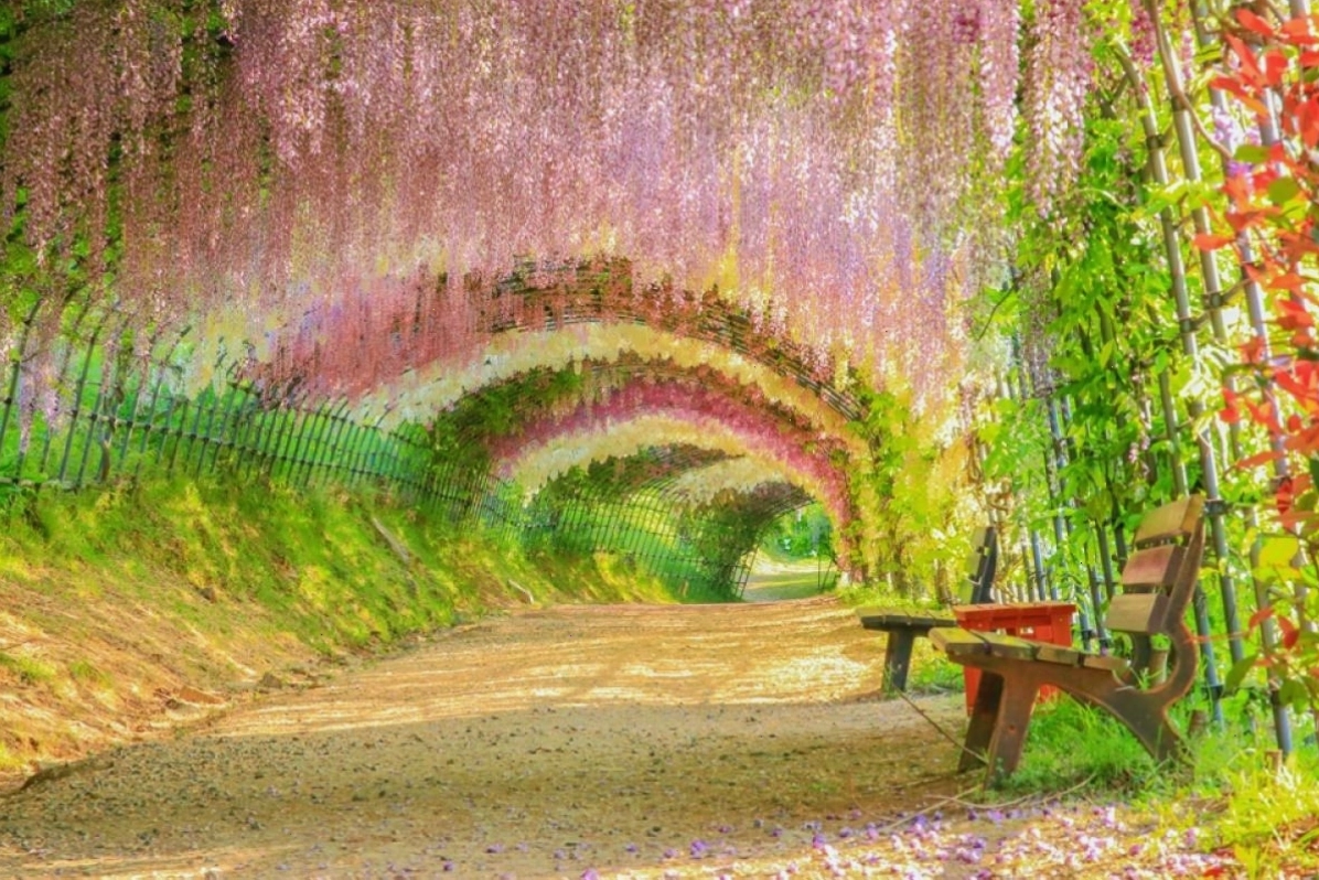 Vẻ đẹp thiên nhiên Hokkaido theo mùa