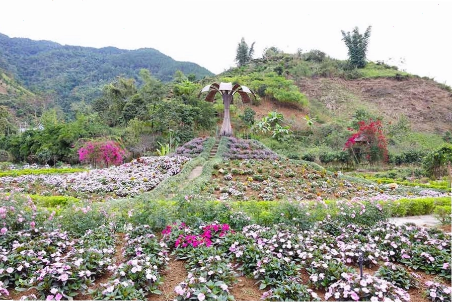 Vẻ đẹp thơ mộng của bản Thẳm Lai Châu với núi rừng trùng điệp