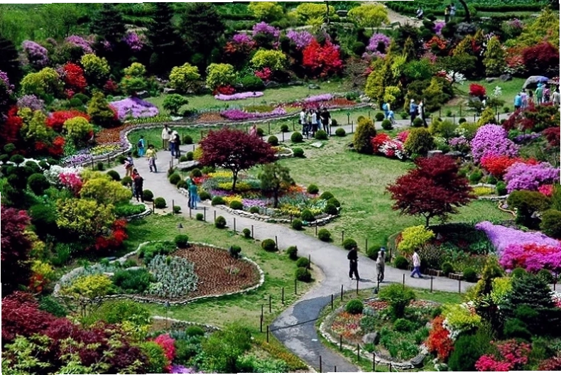 Vẻ đẹp thơ mộng của đảo Jeju với biển xanh và núi non hùng vĩ