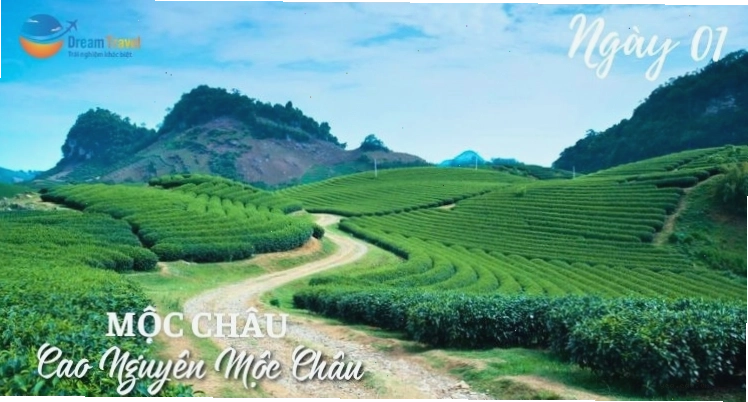Vẻ đẹp thơ mộng của Điện Biên khi mùa hoa ban nở rộ