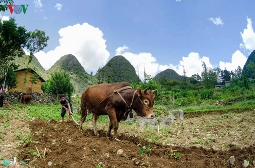 Vẻ đẹp và Con người Hà Giang: Khám phá vùng đất địa đầu Tổ quốc