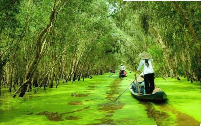 Về miền Tây mùa lúa chín với hương đất tình người