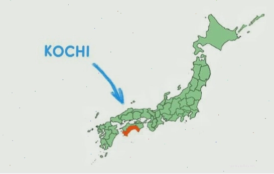 Vị trí địa lý của tỉnh Kochi Nhật Bản