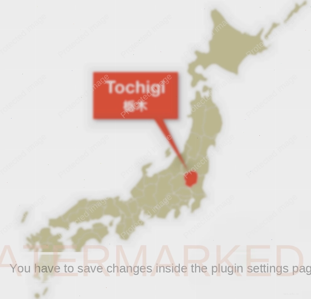 Vị trí địa lý tỉnh Tochigi Nhật Bản trong vùng Kanto