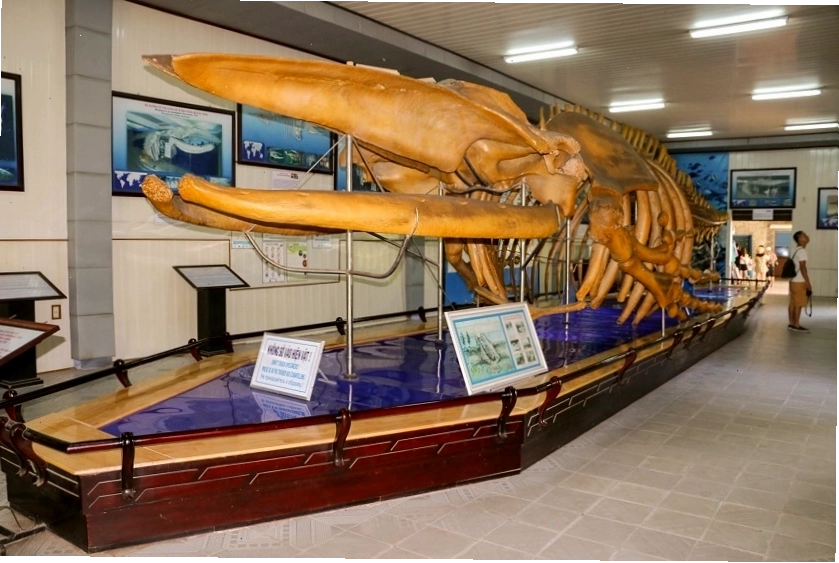 Viện Hải dương học Nha Trang