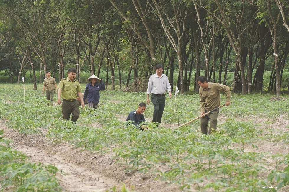 Vietcap ra mắt Dự án vì cộng đồng 'Vững xanh tài chính, phủ xanh Việt Nam'