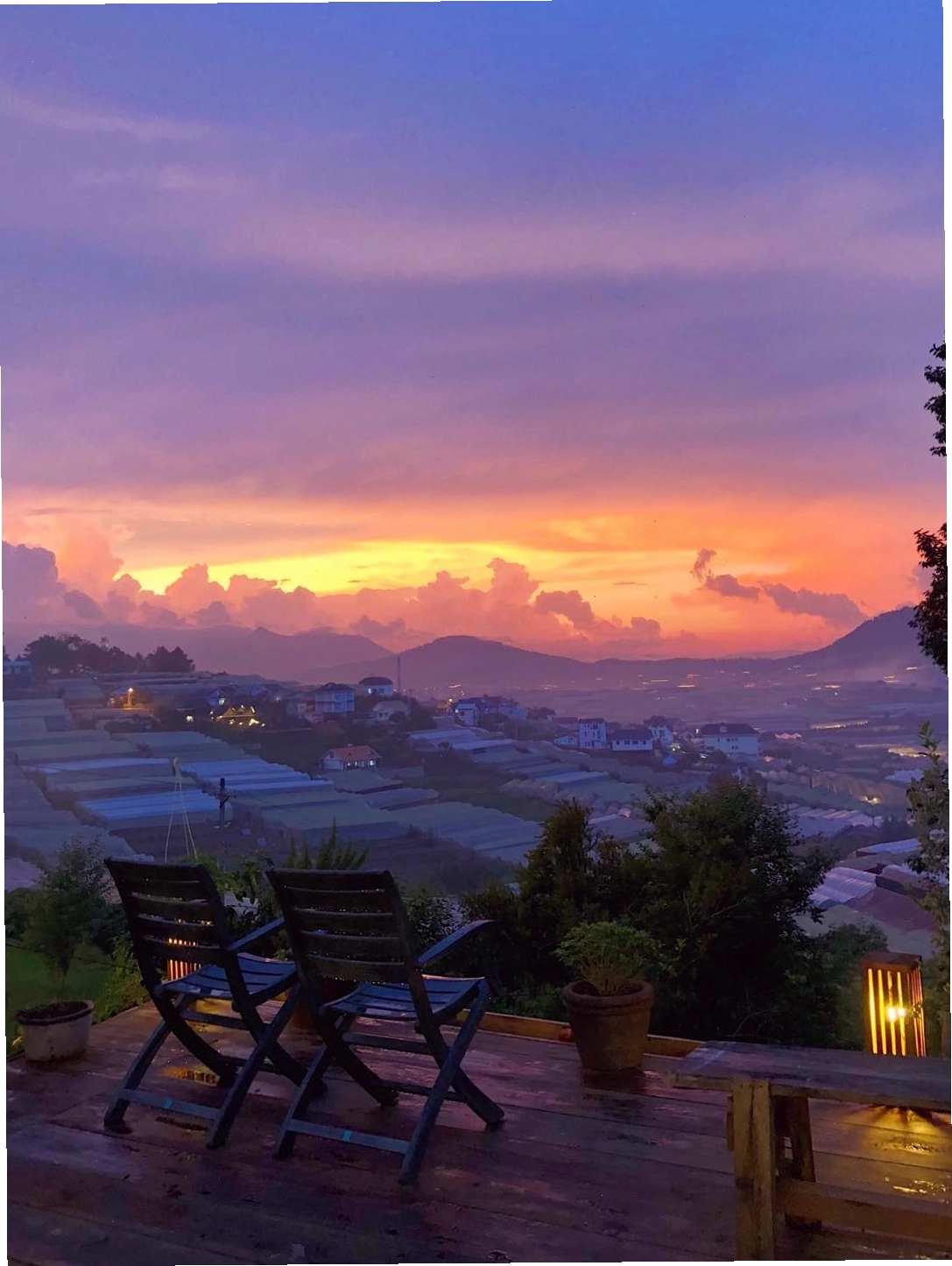 View đồi thông thơ mộng nhìn từ Tiệm Cà Phê Túi Mơ To