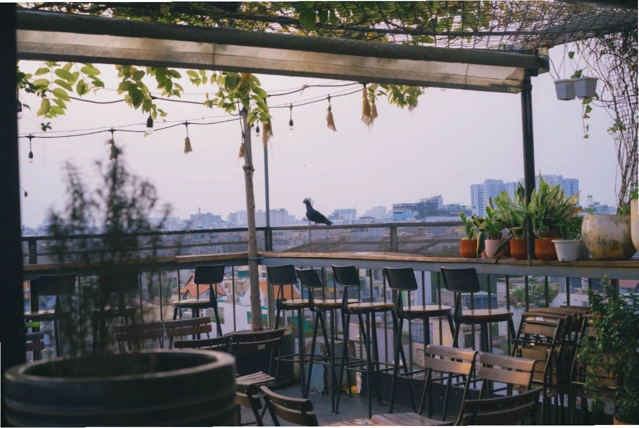 View thành phố lung linh về đêm từ Chạng Vạng Rooftop