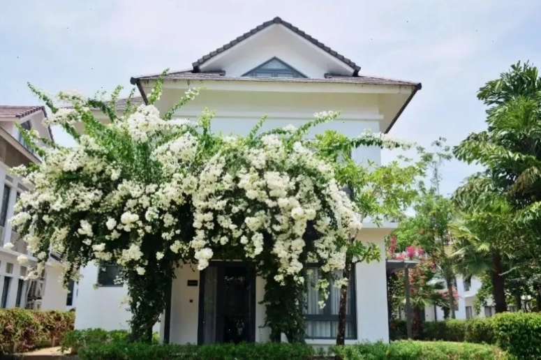 Villa 4 Phòng Ngủ có hồ bơi riêng tại Sunset Sanato Phú Quốc