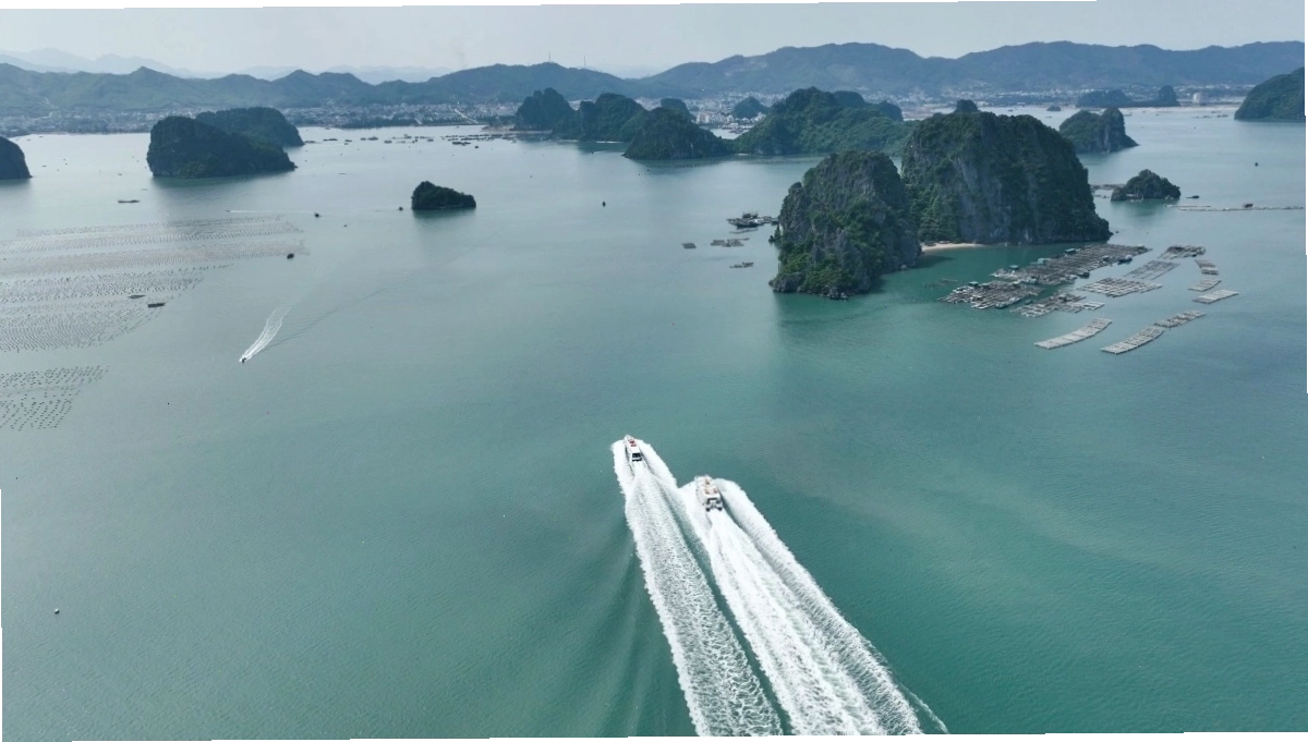 Vịnh Bái Tử Long tuyệt đẹp với hàng nghìn đảo đá vôi