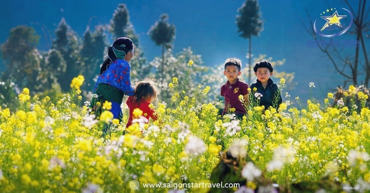 Vịnh Hạ Long lung linh huyền ảo với hàng nghìn đảo đá vôi