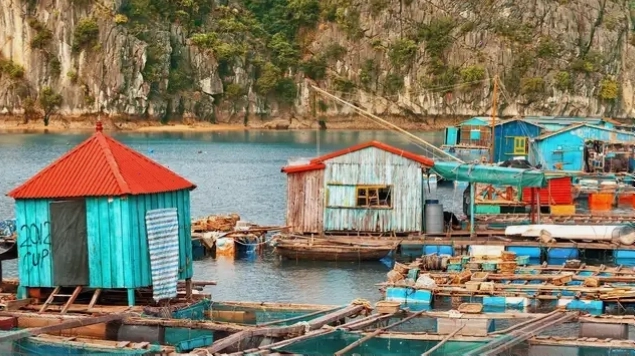 Vịnh Hạ Long