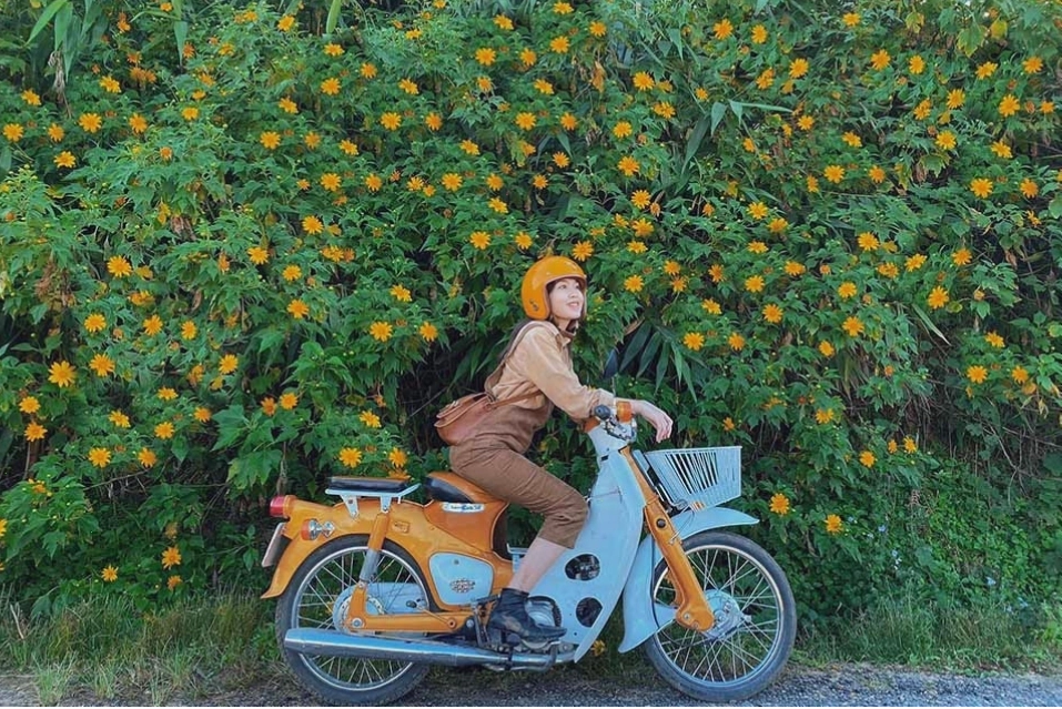 Võ sĩ Sumo thi đấu trong lễ hội