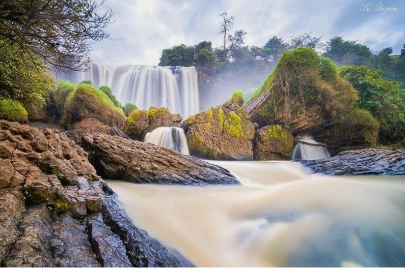 Vườn cà phê trĩu quả tại Lâm Hà