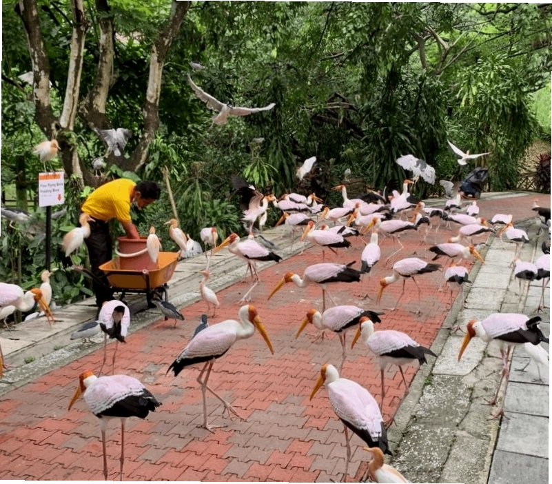 Vườn Chim KL - Kuala Lumpur Bird Park