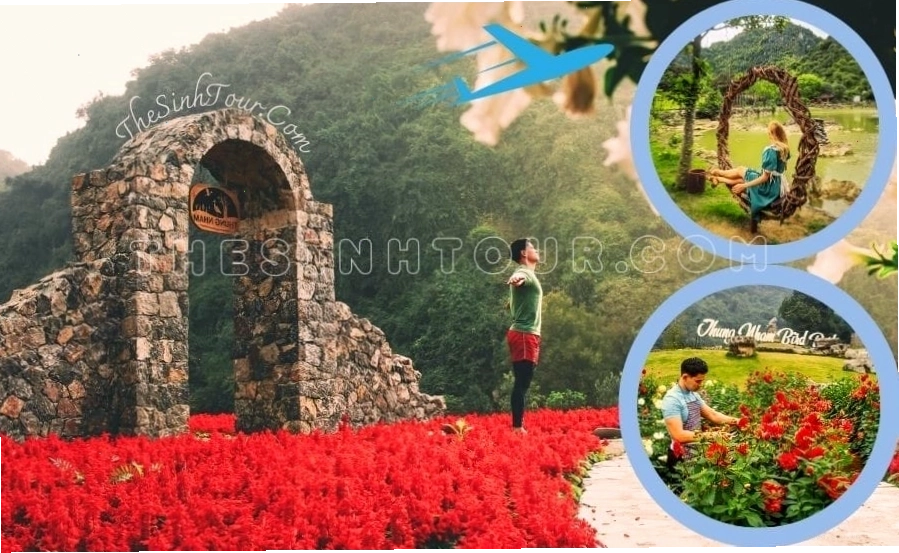 Vườn chim tại Thung Nham về chiều