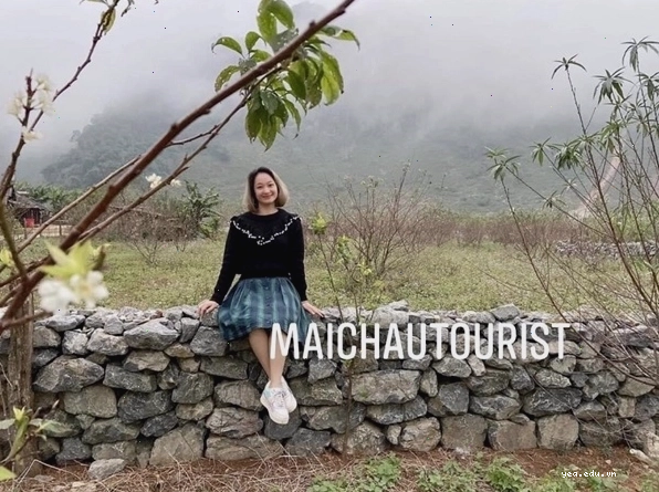 Vườn đào Hang Kia rực rỡ khoe sắc mùa xuân