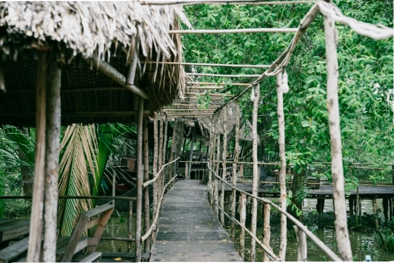 Vườn hoa giấy rực rỡ sắc màu tại 5Ku Farm