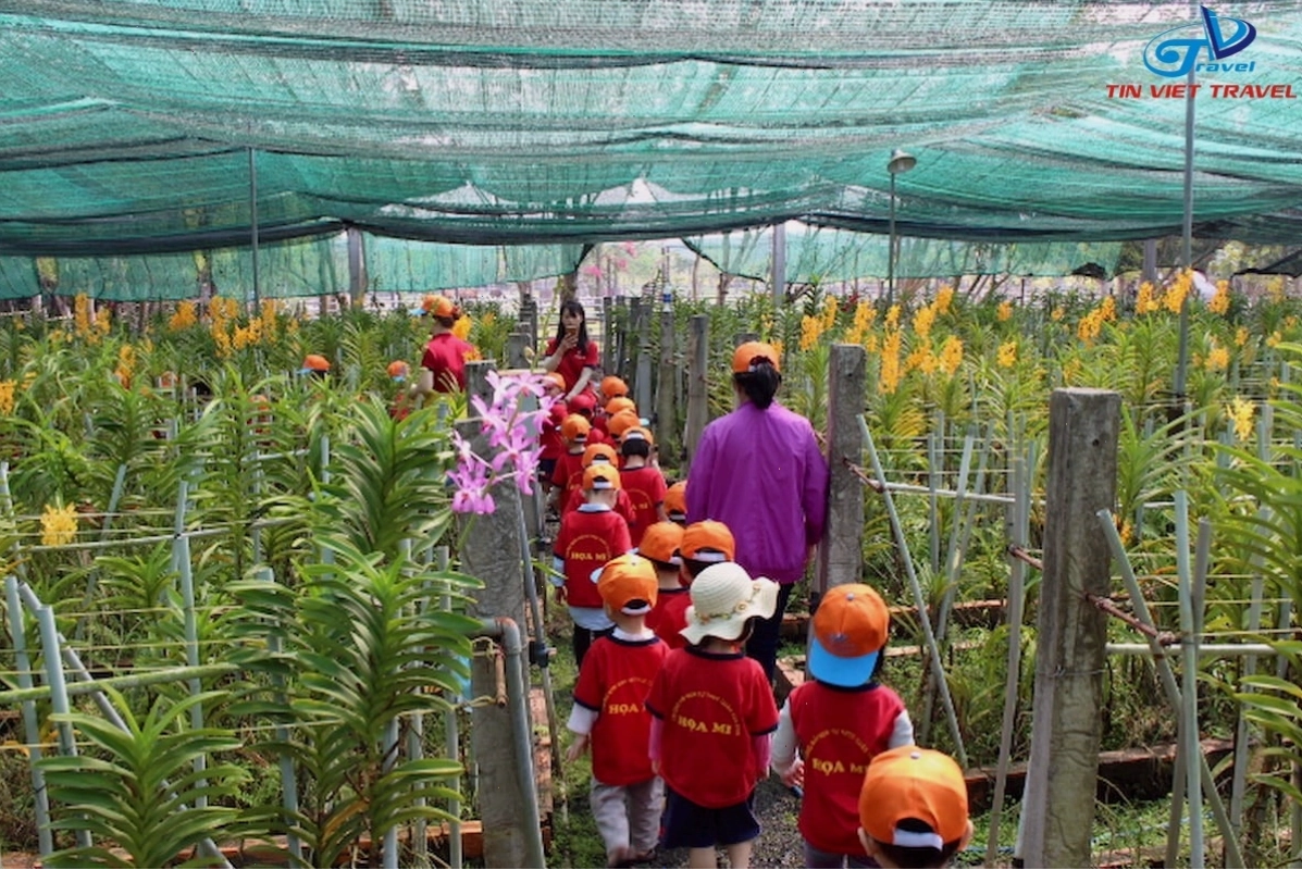 Vườn lan khoe sắc tại Nông Trang Xanh
