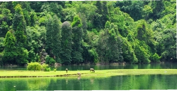 Vườn quốc gia Ba Bể