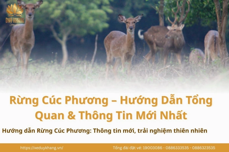 Vườn Quốc gia Cúc Phương ở tỉnh nào? Khám phá vẻ đẹp thiên nhiên và văn hóa