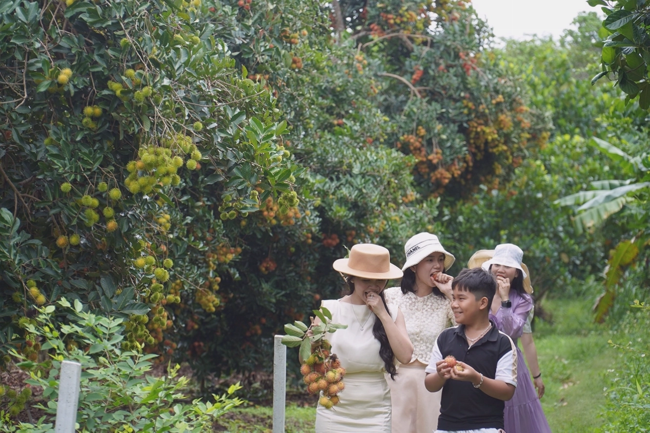 Vườn Quốc gia Tràm Chim Đồng Tháp với cảnh quan mênh mông