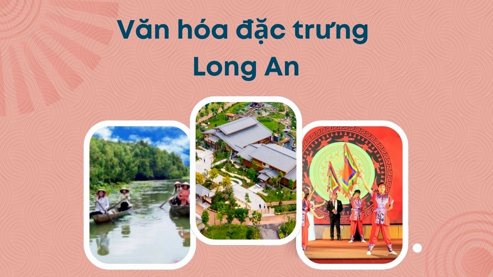 Vườn thanh long trĩu quả tại Long An