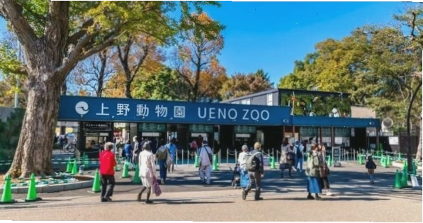 Vườn thú Ueno Tokyo