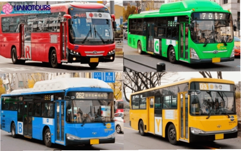 Xe buýt là phương tiện được ưa chuộng nhất tại Busan với mạng lưới phủ sóng rộng