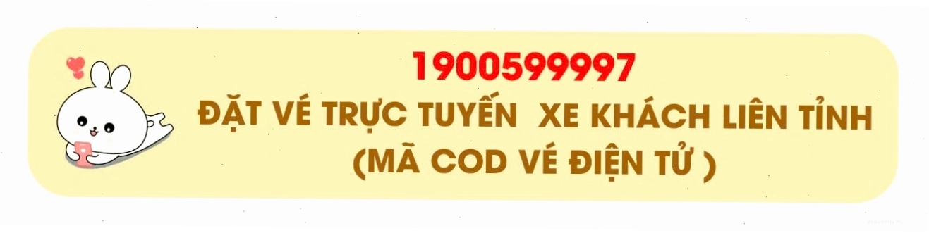 Xe Hoa Mai Limousine VIP Sài Gòn đi Vũng Tàu