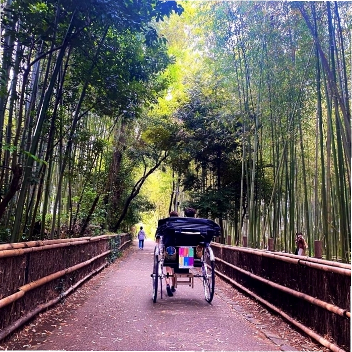Xe kéo Jinrikisha tại Rừng trúc Arashiyama