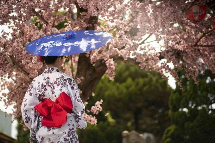 Xứ sở hoa anh đào là nước nào? Khám phá Nhật Bản qua biểu tượng Sakura