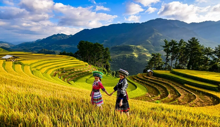 Yên Bái có gì đặc biệt? Khám phá vẻ đẹp đa sắc màu núi rừng Tây Bắc